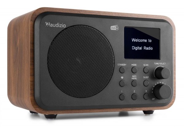 Fenton Portable DAB+Radio