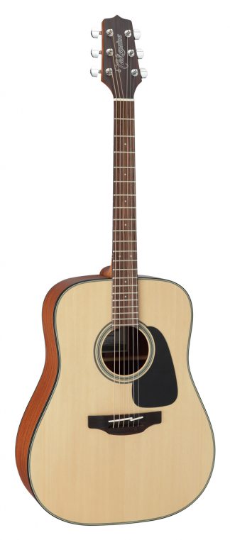 Takamine GD10-NS