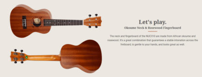 Flight NUC310 konserttiukulele Pack - Image 2