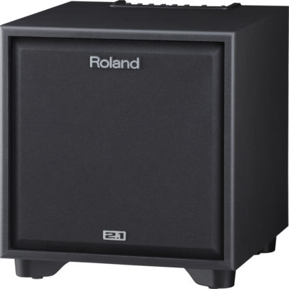 Roland CM-220 CUBE Monitor - Image 3