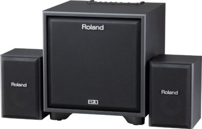 Roland CM-220 CUBE Monitor