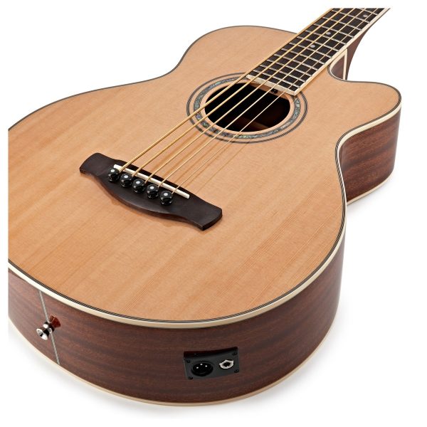 Ibanez AEB10ENT akustinen basso - Image 2