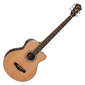 Ibanez AEB10ENT akustinen basso