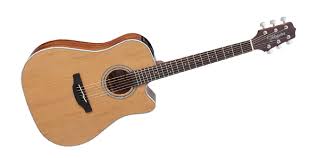 Takamine GD20CE NS