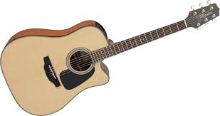 Takamine GD10-CE-NS