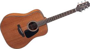 Takamine GD11M-NS