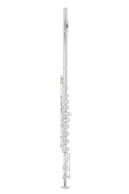Armstrong FL-650E huilu