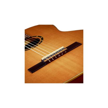 Ortega R121NT 7/8 klassinen kitara + GigBag - Image 2